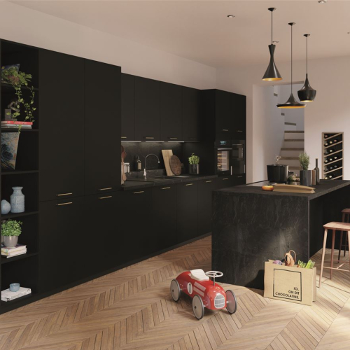 Fénix noir