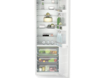 Réfrigérateur 1 porte IRBSD5120-22