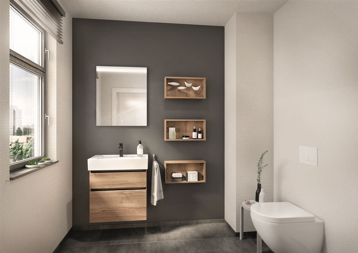 Structura Décor chêne Havane