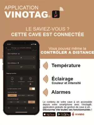 Cave à vin AVI45PLATINUM