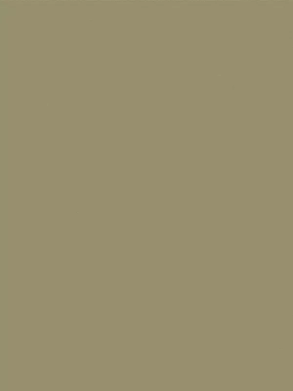 Façade Macaron Olive
