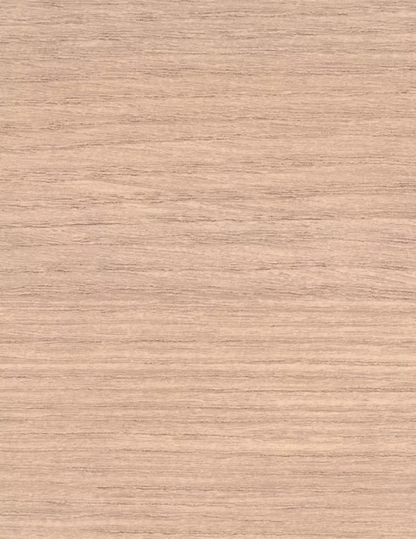 Plan de travail Béton naturel EM