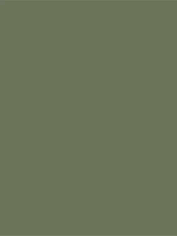 Façade Jiang Camouflage
