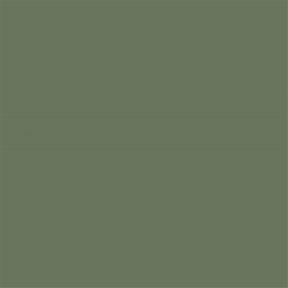 Façade Jiang Camouflage