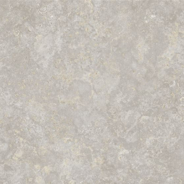 Plan de travail Fossile